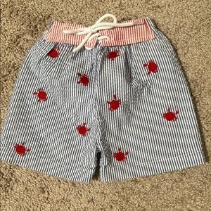 Mud Pie Blue and White Seersucker Shorts